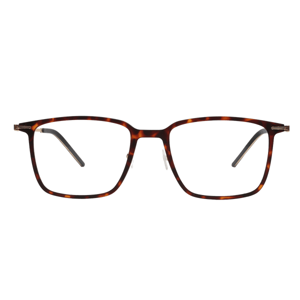 Nest Reading Glasses