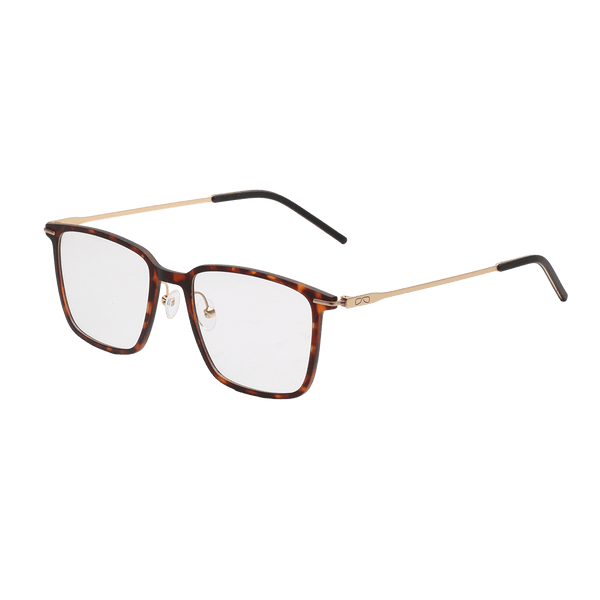 Nest Reading Glasses