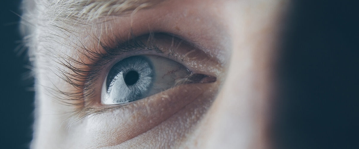 A Lesson in Human Eye Anatomy