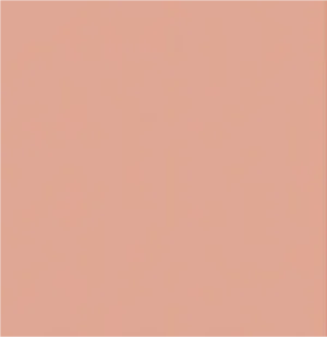 brown color swatch