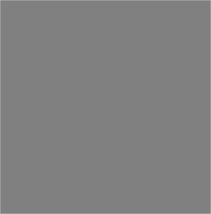 grey color swatch