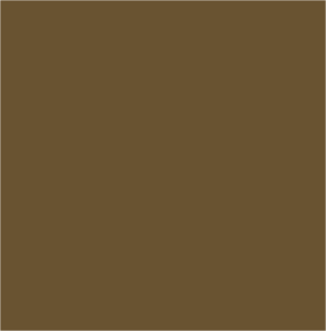 solid brown color swatch