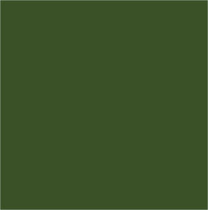 solid green color swatch