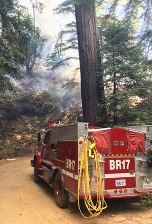 Fire truck BR17 with hoses deployed at an active forest wildfire with smoke and flames visible among the trees