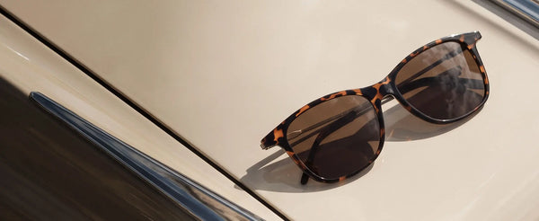 ThinOptics tortoise frame sunglasses with brown lenses resting on the hood of a classic cream-colored car