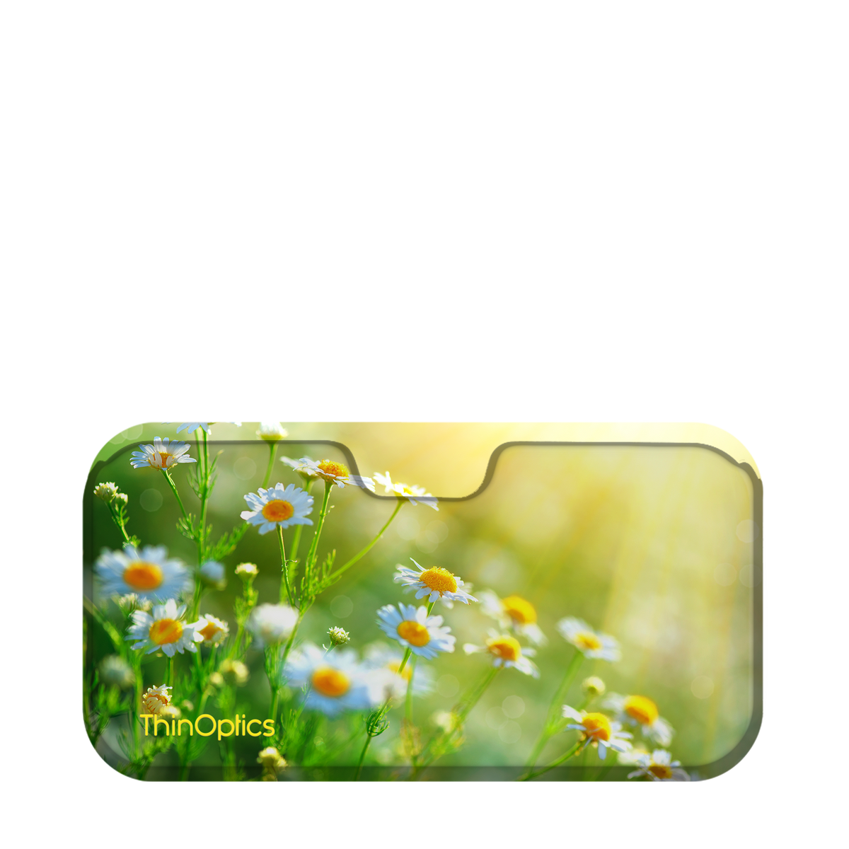 Sunshine Daisies Universal Pod